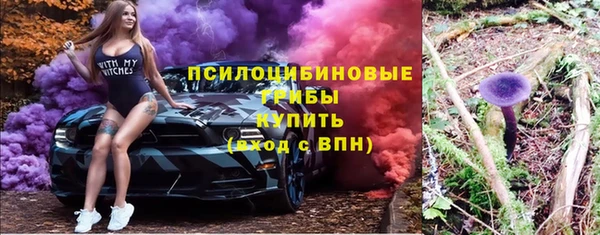 мяу мяу мука Алзамай