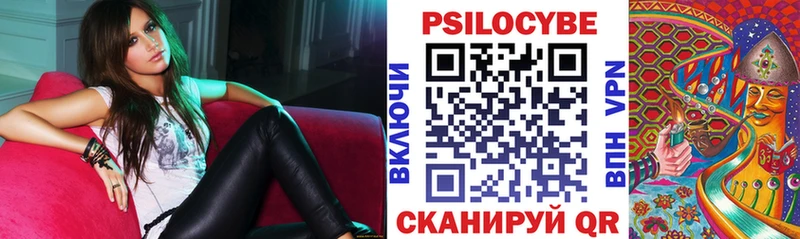 купить наркоту  omg зеркало  Псилоцибиновые грибы Psilocybe  Чехов 